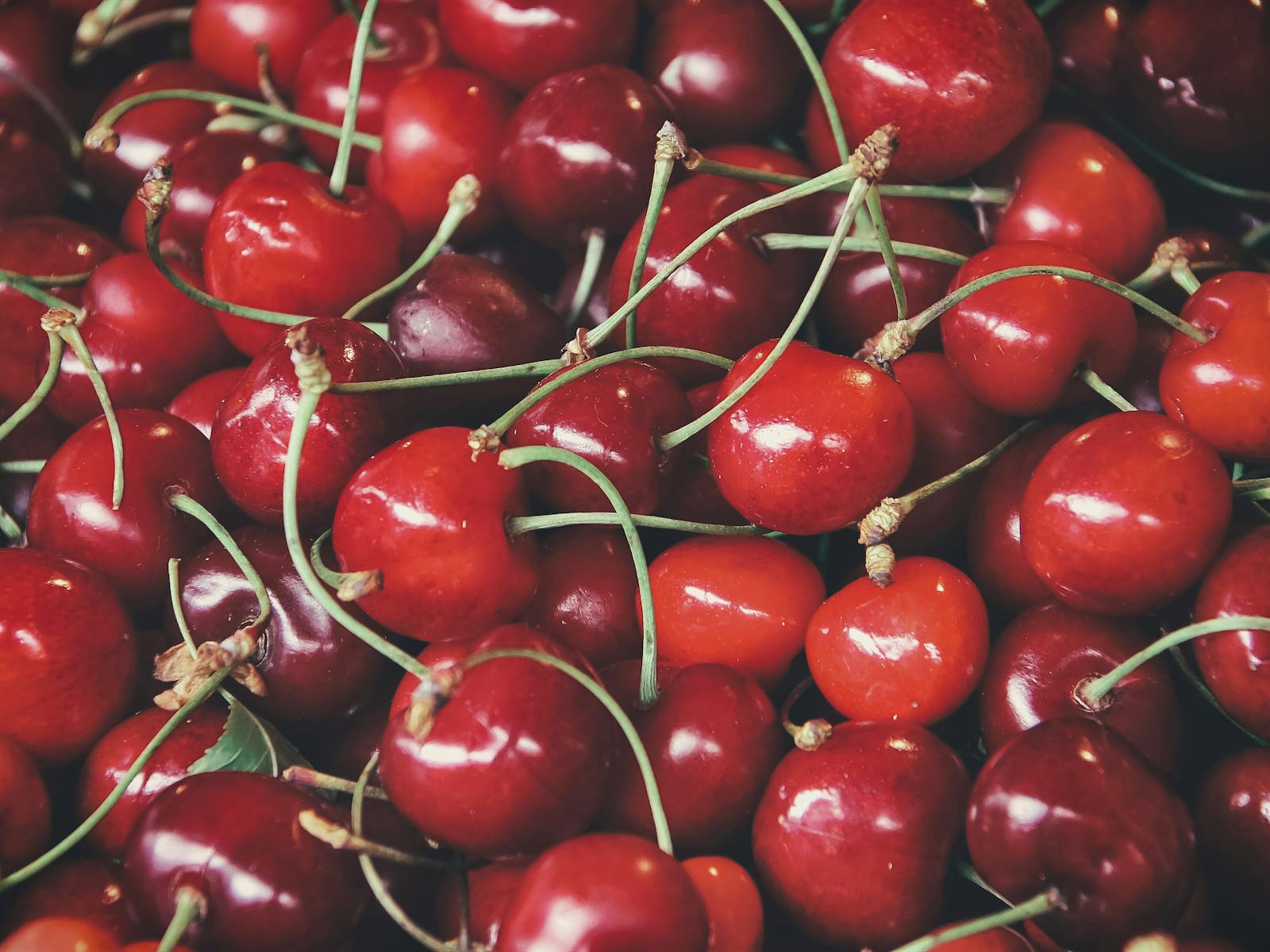 Cherry