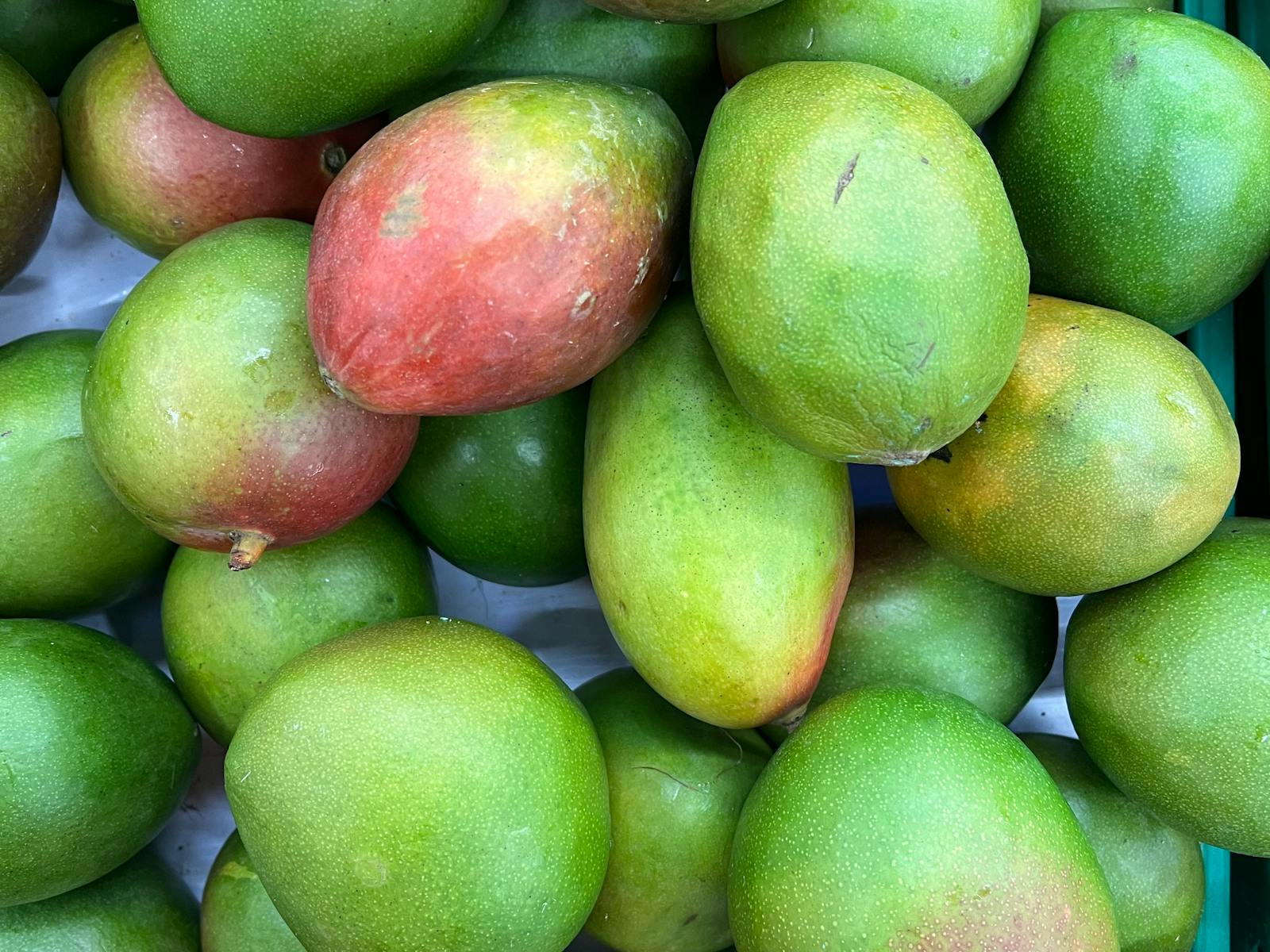 Pile of ripe mangoes in mixed green and red tones